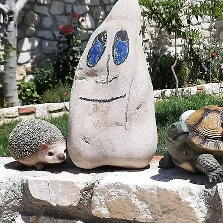 Floger World Vlorë